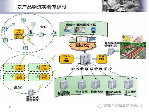 物聯網技術在智能物流系統中的網絡系統安裝與集成實踐
